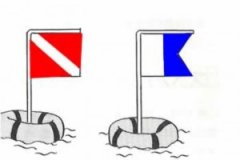 ��ЩǱˮ��ʶ�㶼��ʶ��?