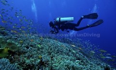 ��֤��������ֵ������|Ǳˮ�����ٳɰ࣬��֤�հ����