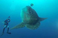 Ǳˮ��Ǳ���򡱡����̿�������ѧ������