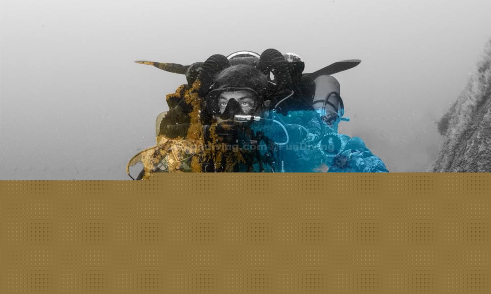 ��ѹ���� �C Part 2: ������ɽ��